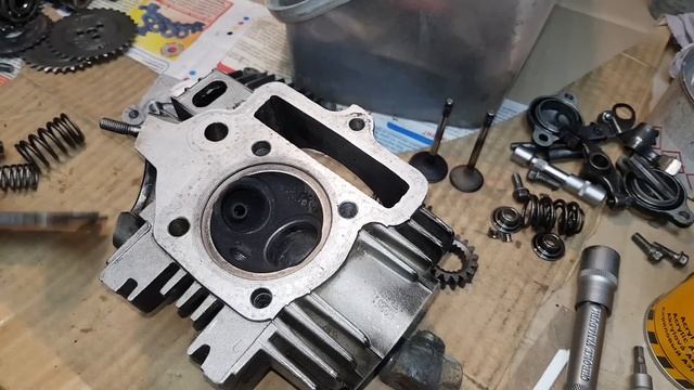 Обзор двигателя yx140. Сравнение с двигателем от мопеда альфа