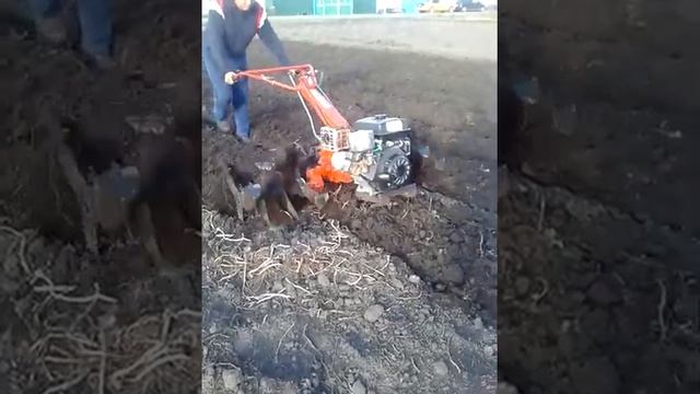 Мотоблок Агро на гусиных лапках