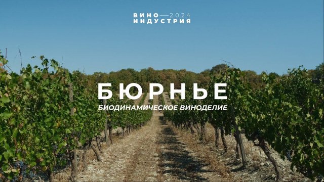 Биодинамическое виноделие в России. Тур на винодельню Бюрнье, Краснодарский край