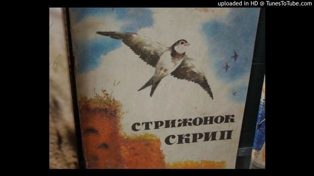"Стрижонок Скрип", В. П. Астафьев, рассказ.