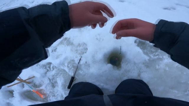 Крупная Форель на Резину/Ловля Форели Зимой/Ловим на Ратлины