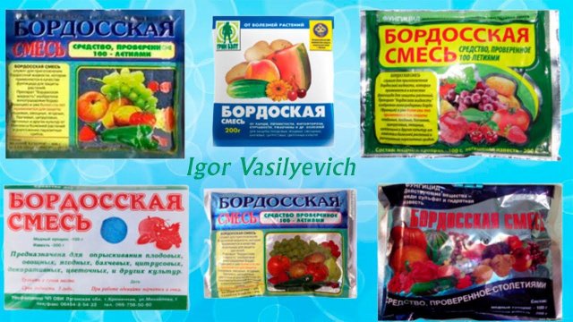 Бордоская смесь. Правильно готовим бордоскую 1% жидкость. Строго по инструкции! Бордоская жидкость.