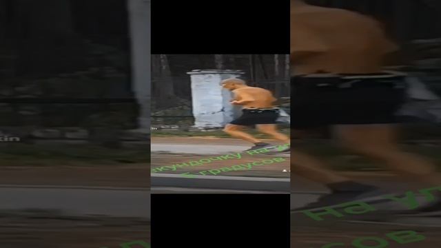 здоровья для
