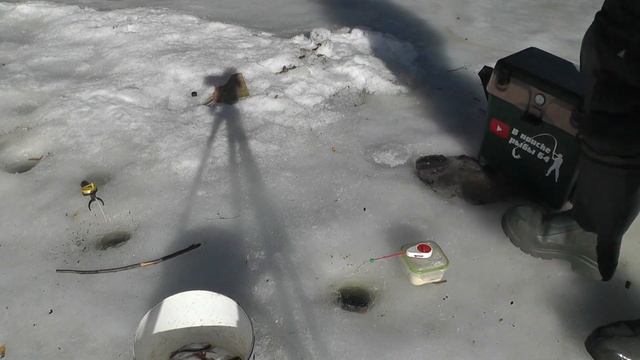 Закрытие сезона ловли рыбы со льда. Рыбалка на лесном озере. Мелкая плотва и краснопёрка.Разлив рек