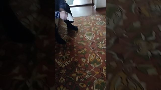 1000025331.mp4