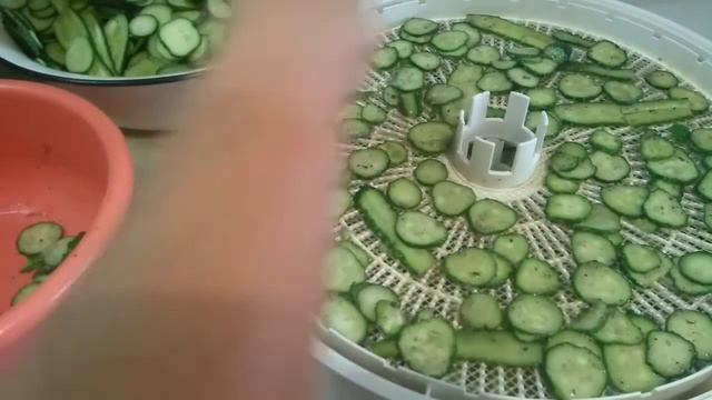 Чипсы из огурцов с чесноком,перцем,куркумой, душистыми травами Карри,томаты, ванилин, гвоздика.ит.д