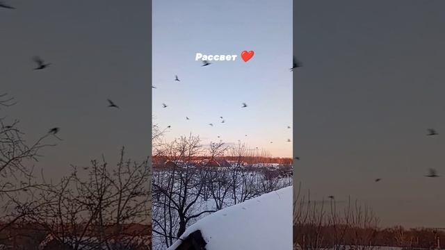рассвет ❤
