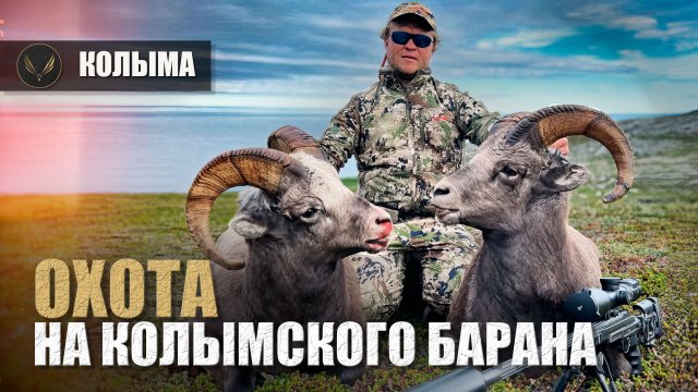 ГОРНАЯ ОХОТА НА КОЛЫМСКОГО БАРАНА | ЭКСПЕДИЦИЯ НА КОЛЫМУ