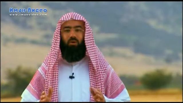 Ислам. История пророка Сулеймана (Часть 2), Узейра