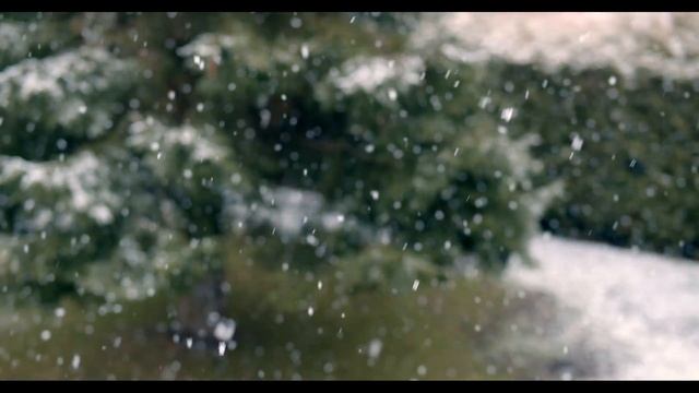 падает снег фон заставка
