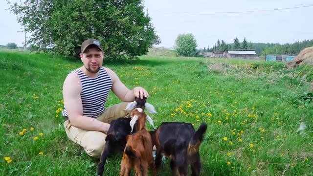 КУПИЛ 2 ДОМА В ДЕРЕВНЕ _ БАБУШКА НАПЕКЛА ПИРОГОВ КАК В ДЕТСТВЕ