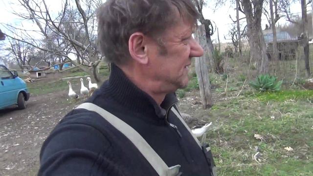 Весенний обзор сельской жизни..