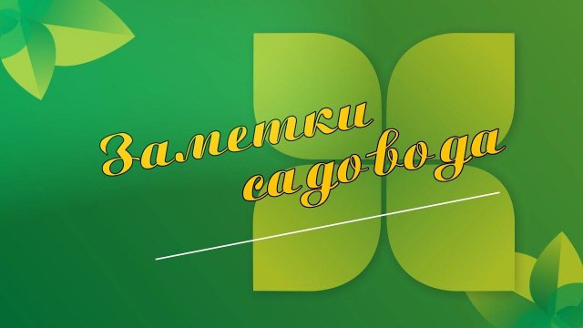 Заметки садовода  Посев томатов