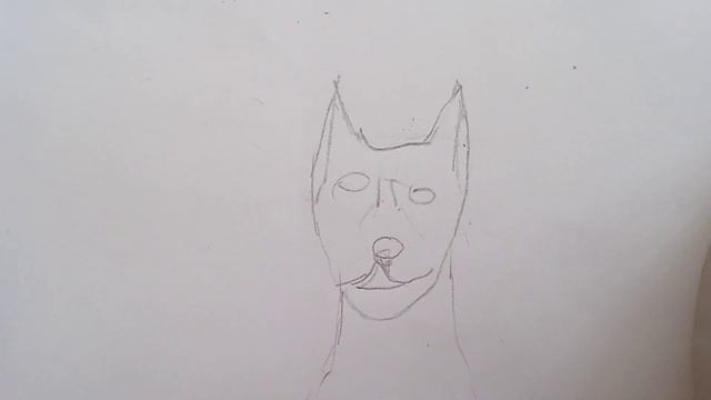 делаю туториал по бумажной собаки ( добермана)