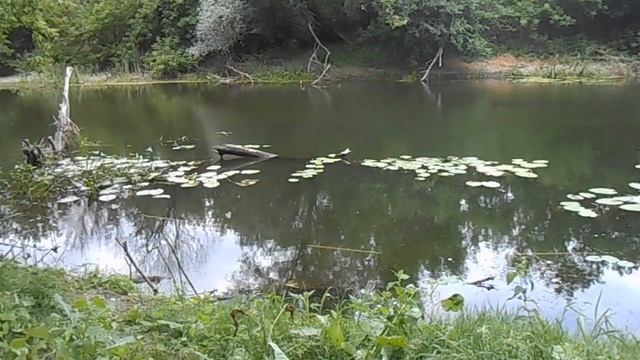 Рыбалка на экраны 2, рыболовный экран не навредил природе!