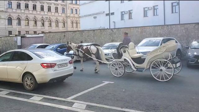 цок цок цок – это в Казани