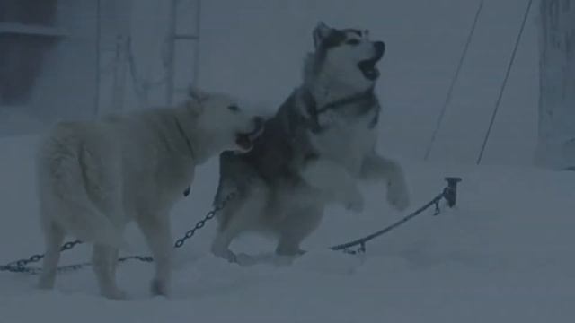 ОТЛИЧНЫЕ ФИЛЬМЫ О ЖИВОТНЫХ