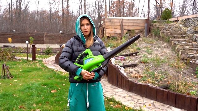 ПЛЮСЫ И МИНУСЫ ВОЗДУХОДУВКИ САДОВОГО ПЫЛЕСОСА