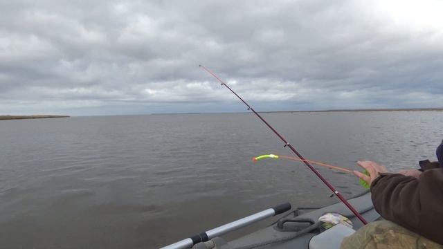 РЫБАЛКА НА БЕЛОМ МОРЕ, КАМБАЛА КРУПНАЯ, ВКУСНАЯ НЕ ТОЛЬКО ТАЙГА РУЛИТ