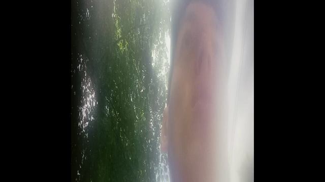 WWW.