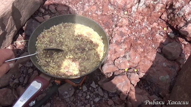 ЛОВЛЯ САЗАНА НА ПОСТАВУШКИ (ПЕРЕВЕРТЫШИ) Рыбалка с ночёвкой