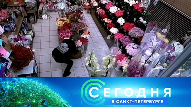 «Сегодня в Санкт-Петербурге»: 9 ноября 2022 года