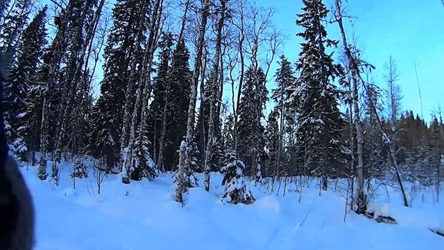 Путик