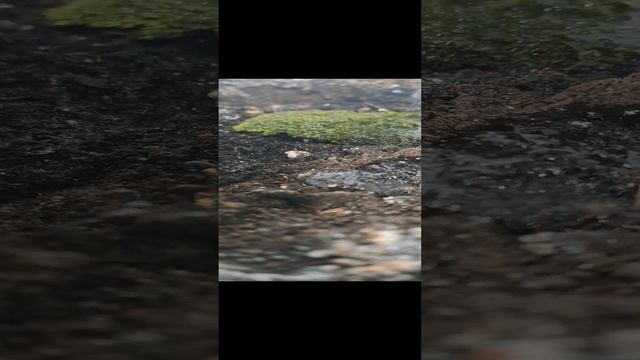 1000001963.mp4