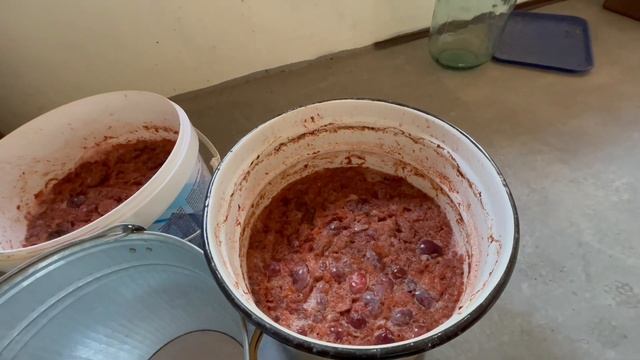 Приготовление домашнего вина из сливы пошаговые процедуры