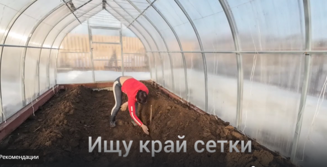 6 соток 28 марта 2024 года. Хроника. Побелила яблони, грушу.. Раскладываю сетку от кротов в теплице.