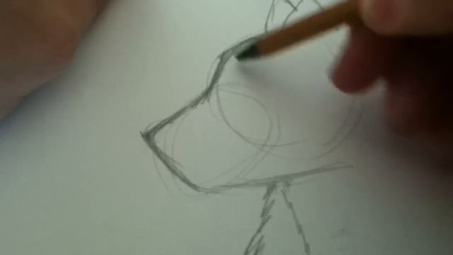 Рисуем волка(простой)