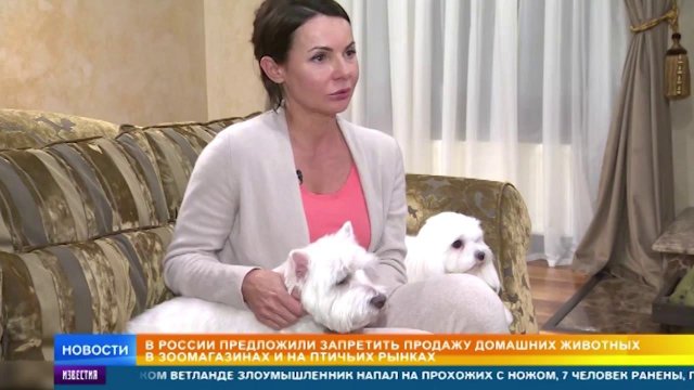 В России хотят запретить продажу домашних животных на птичьих рынках