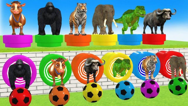 Длинная Слайд-игра Со Слоном, Гориллой, Буйволом, Бегемотом, Тигром - 3d Игра С Животными