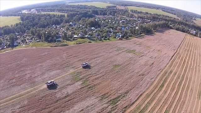 Уборка зерновых