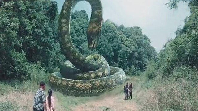 Найдена гигантская змея! Самая большая в истории Земли - Титанобоа