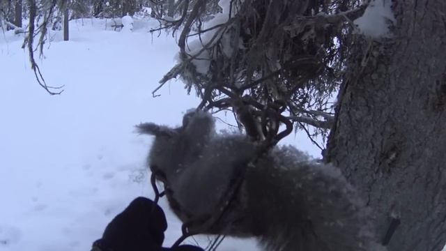 50 дней в тайге Прикамья. Бродяги Севера. Часть 7