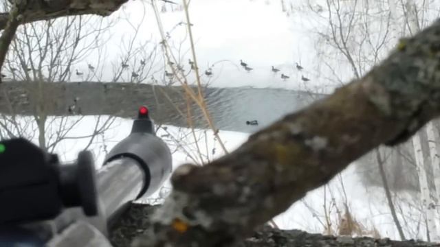 охота с пневматикой хатсан 125 PNEUMATIC DUCK HUNTING