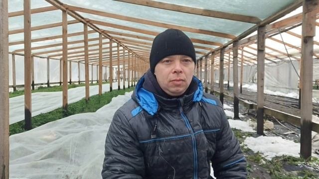 Простой парень объяснит почему не замёрзли растения,  благодарен за комментарии . $???