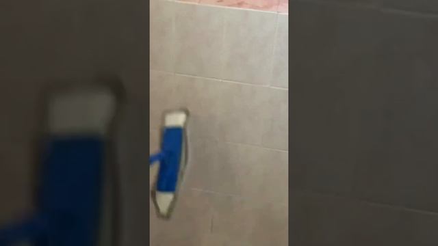 Как избавиться от плесени раз и навсегда