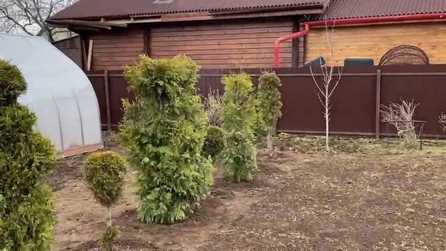 Отпуск на даче. Подготовка к сезону.