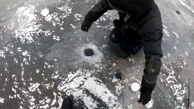 ЖИРНЫЙ ЗИМНИЙ СУДАК ОДИН ЗА ДРУГИМ! ловля судака на балансир. рыбалка зимой 2022.