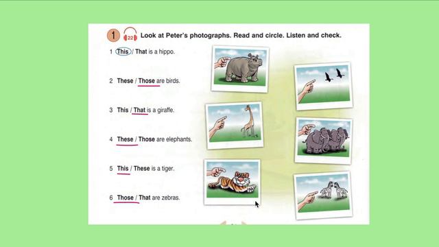 Урок 13. Указательные местоимения This, That, These, Those. В чем разница?