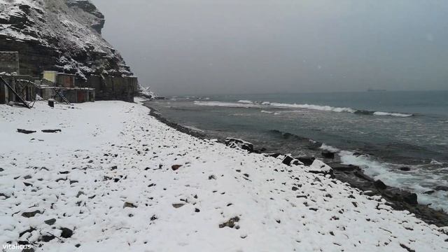 Зимняя прогулка, бухта Тихая, Владивосток.