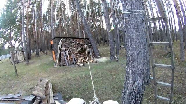 Бензопила "Штиль МС-180" (Stihl МS -180). Каков её предел?