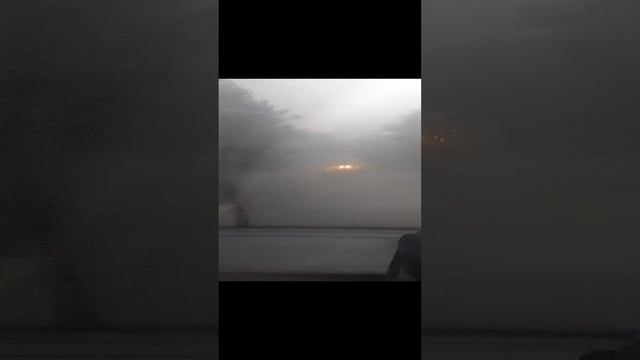 VID_20240617_173646.mp4