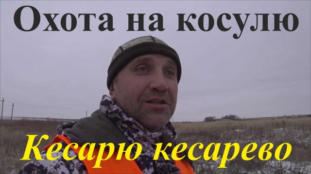 Охота на косулю - Кесарю кесарево