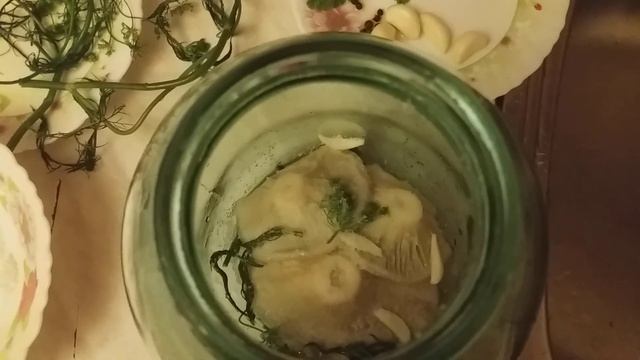 Засолка груздей холодным способом в банке
