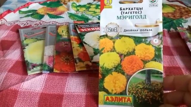Самые неприхотливые  цветы для цветочной клумбы.  Семена цветов.