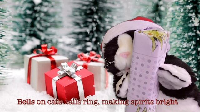 Jingle Meows - Cute Christmas cats singing Jingle Bells in festive feline fun! Fun parody song.