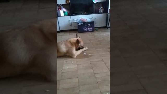 ещё одно из любимых занятий Зайки